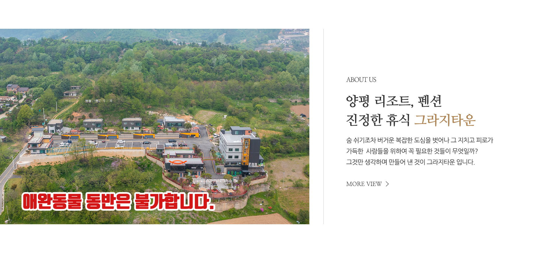 (주)그라지타운_소개_pc
