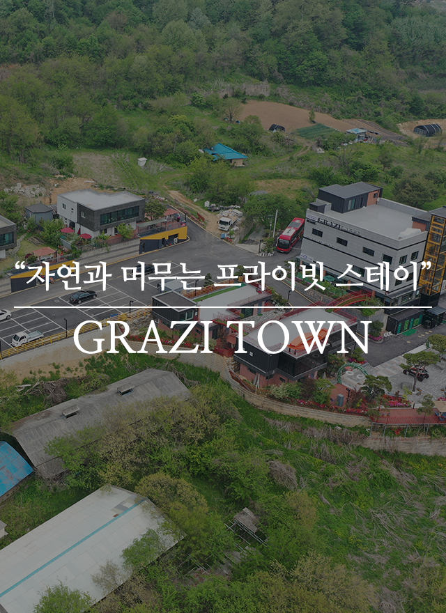 (주)그라지타운_